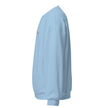 Load image into Gallery viewer, No Sharam Color Embroidery Unisex Sweatshirt