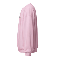 Load image into Gallery viewer, No Sharam Color Embroidery Unisex Sweatshirt