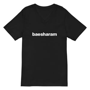 Men's Baesharam V-Neck T-Shirt